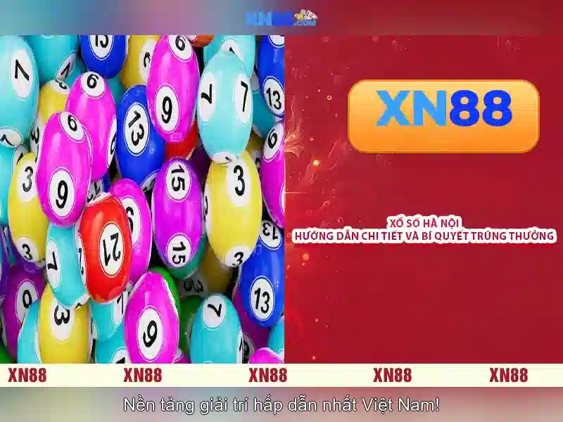 Hỗ trợ khách hàng và cộng đồng